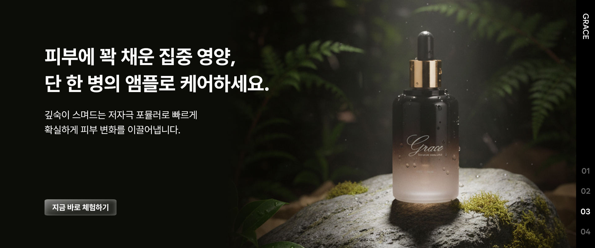 배경 이미지